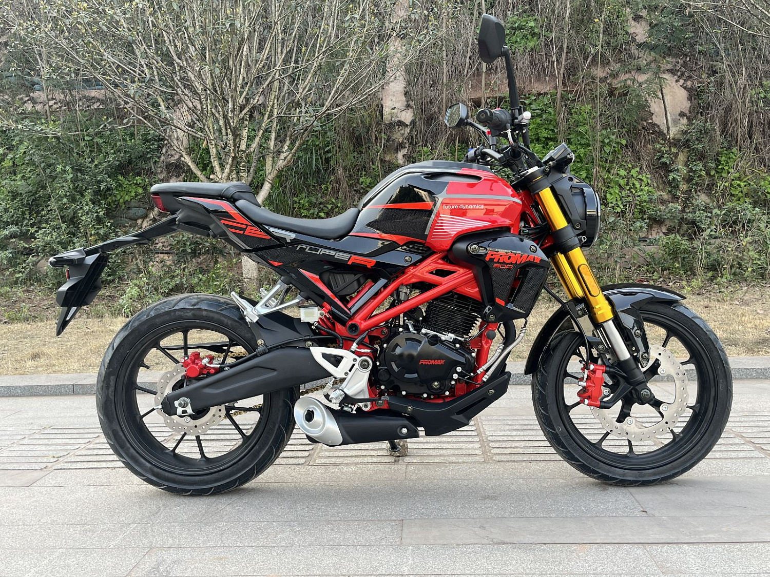 Мотоцикл PROMAX CB300RL (4V, 6G) в Раменском