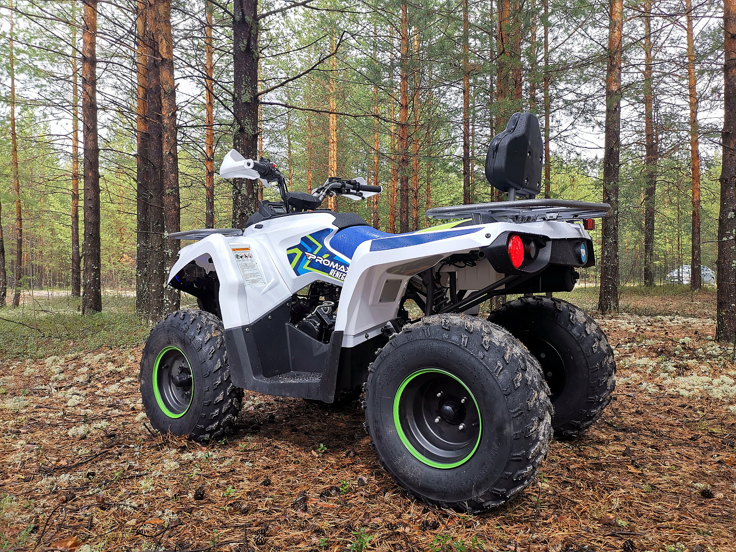 Квадроцикл PROMAX RENEGADE 280 (2025) в Раменском
