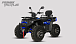 Квадроцикл PROMAX TAURUS 300 MAX-PRO LONG в Раменском