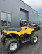КВАДРОЦИКЛ IRBIS ATV 250  в Раменском