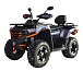 Квадроцикл MOTOLAND (МОТОЛЕНД) 300 MAX X в Раменском