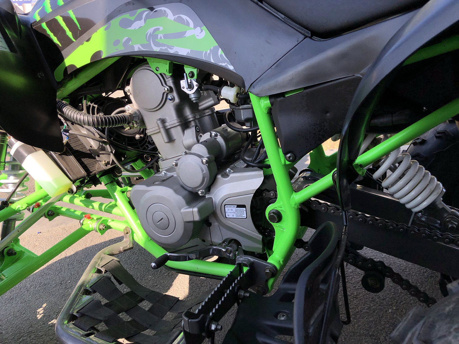 Квадроцикл PROMAX RAPTOR 300 NEW Monster в Раменском