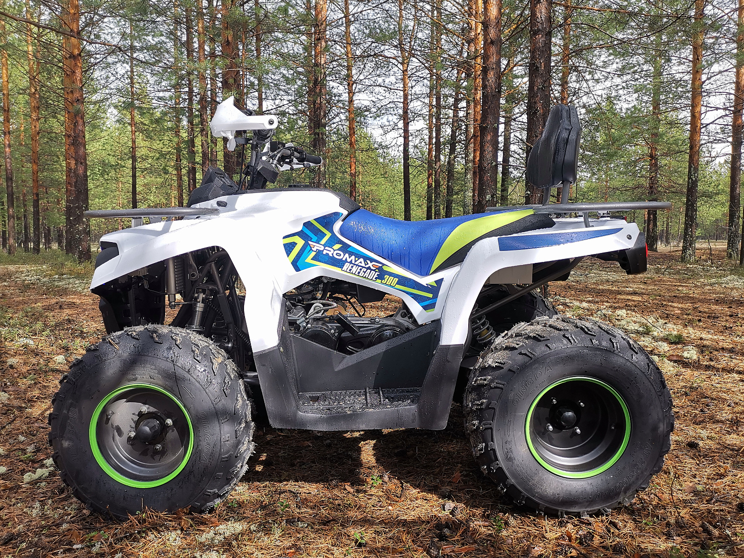 Квадроцикл PROMAX RENEGADE 280 (2025) в Раменском