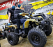 Квадроцикл PROMAX ATV 250 (2025) в Раменском