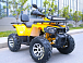 Квадроцикл MOTOLAND (МОТОЛЕНД) VOX200 WILD TRACK X PRO (баланс. вал) в Раменском