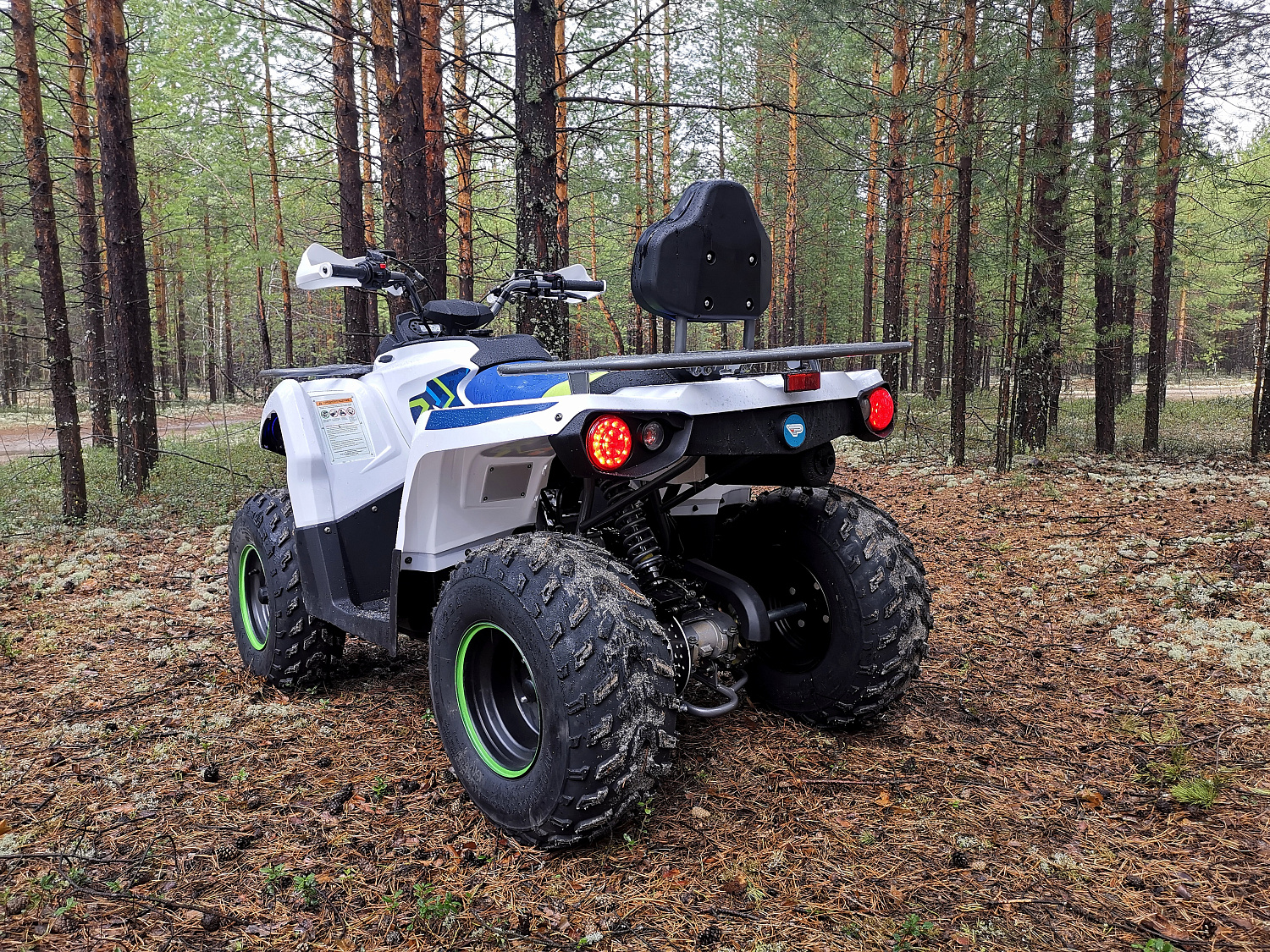 Квадроцикл PROMAX RENEGADE 280 (2025) в Раменском