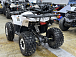 Квадроцикл PROMAX WILD 2.0 190 LUX в Раменском