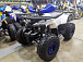 Квадроцикл PROMAX WILD 175 LUX в Раменском