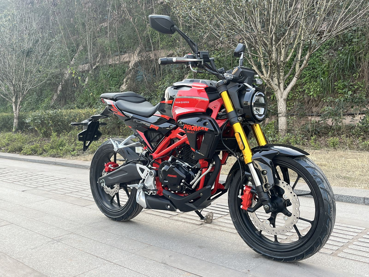 Мотоцикл PROMAX CB300RL (4V, 6G) в Раменском