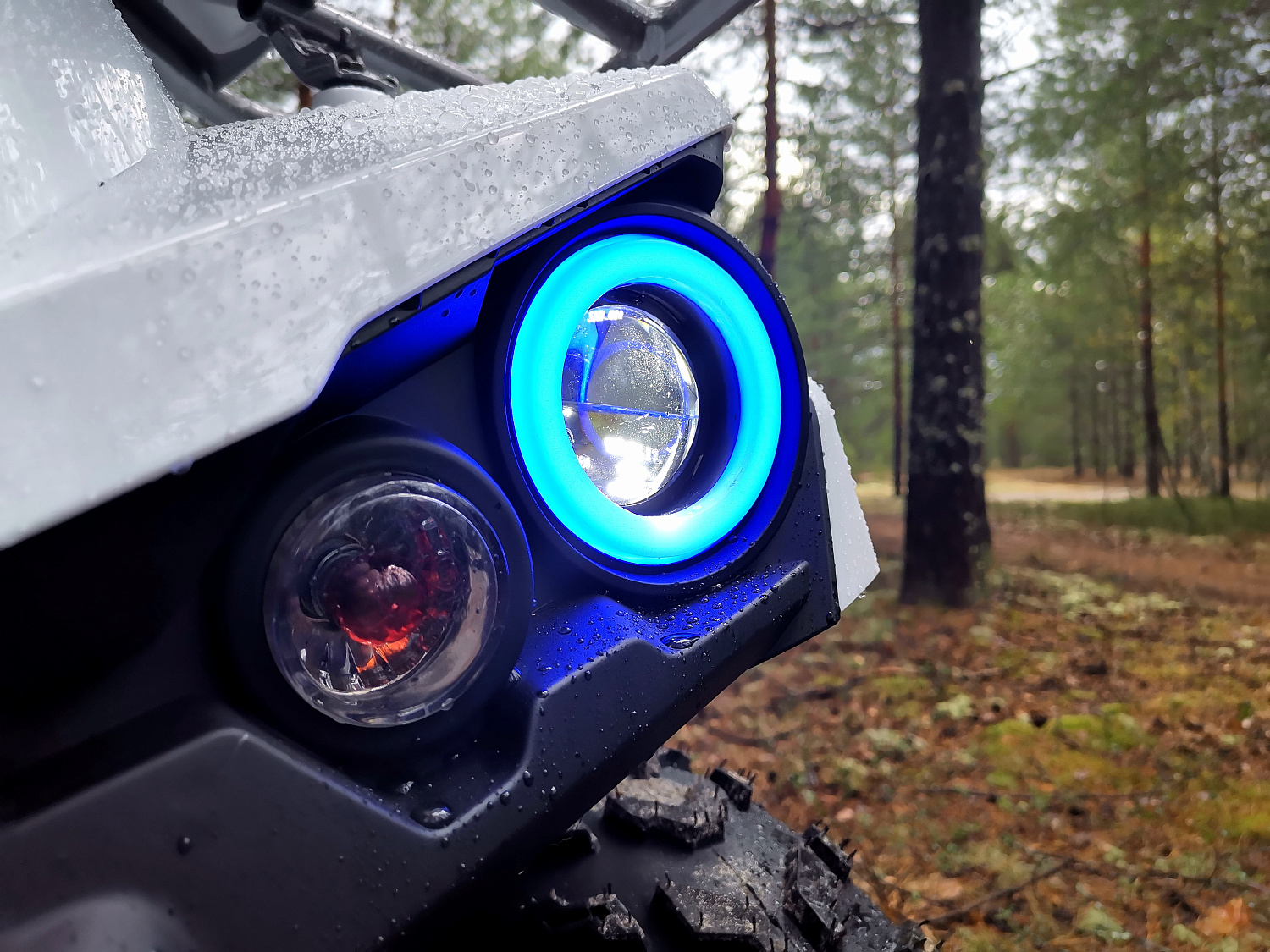 Квадроцикл PROMAX RENEGADE 280 (2025) в Раменском