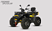 Квадроцикл PROMAX TAURUS 300 MAX-PRO LONG в Раменском
